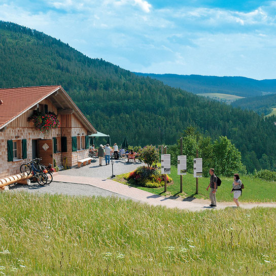 Ansicht Panoramastüble Schwarzenberg & Hotel Müller’s Löwen